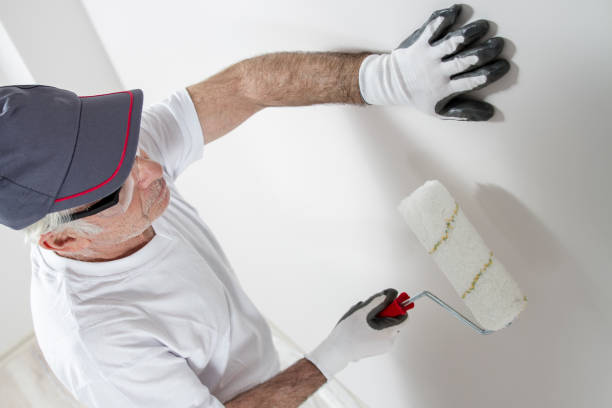Best Mold Prevention Services  in Cairo, GA