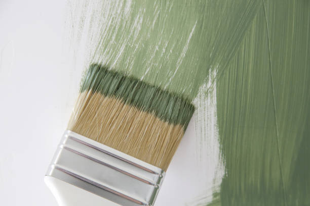 Best Mold Damage Restoration  in Cairo, GA