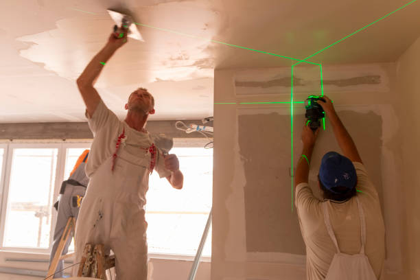 Professional Mold Removal in Cairo, GA