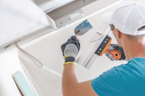 Best Commercial Mold Inspection  in Cairo, GA